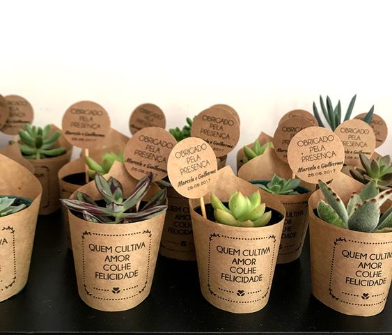 Adult birthday souvenirs with succulents