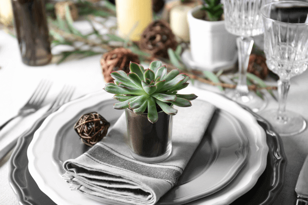 Table souvenir with succulent