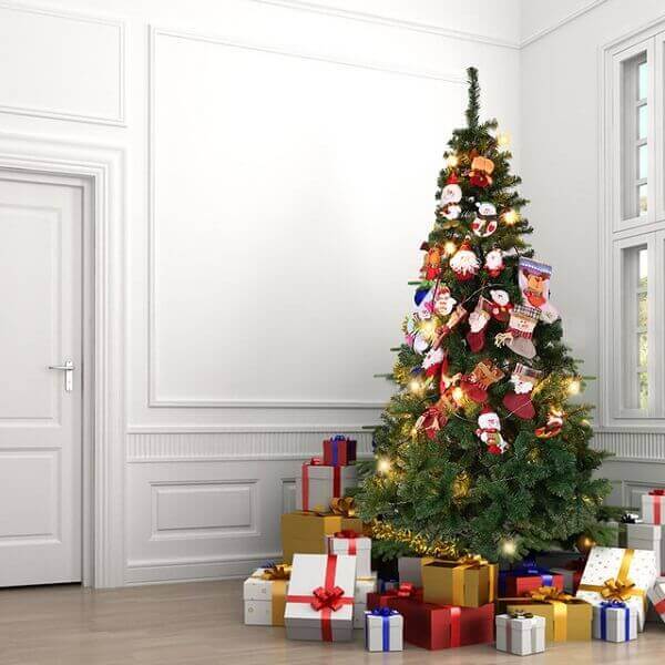 Christmas tree Tuia